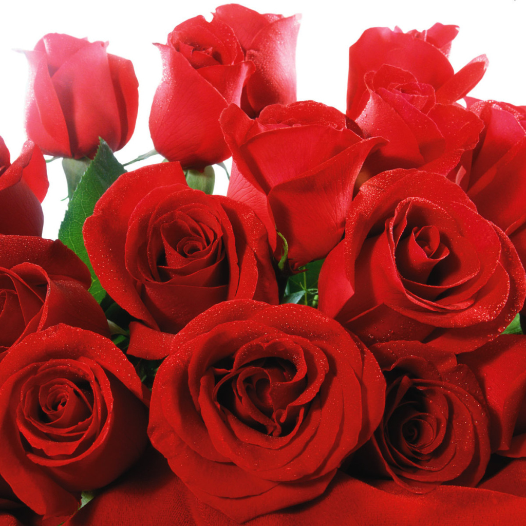 Роскошный букет красных роз на 8 марта