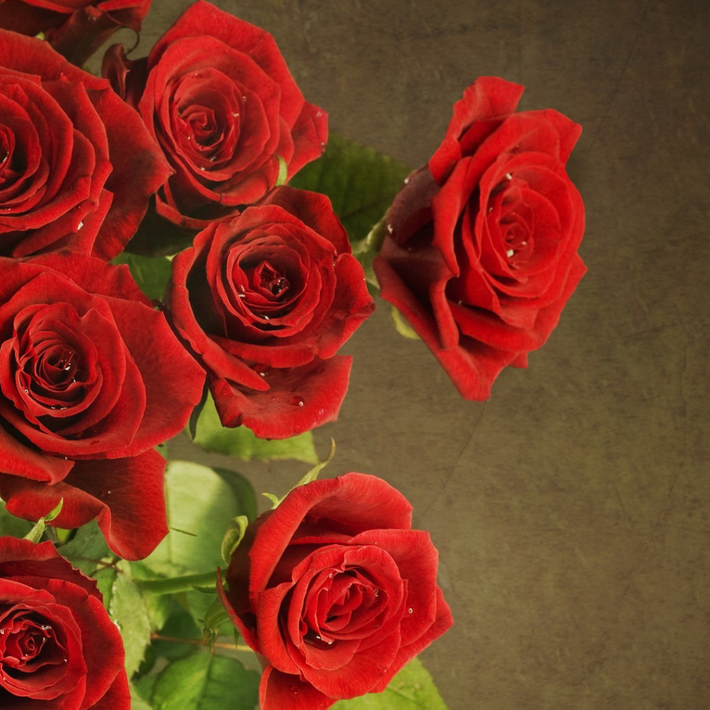 Букет роскошных красных роз на 8 марта