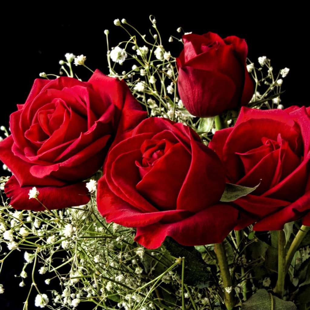 Красные розы на 8 марта на черном фоне