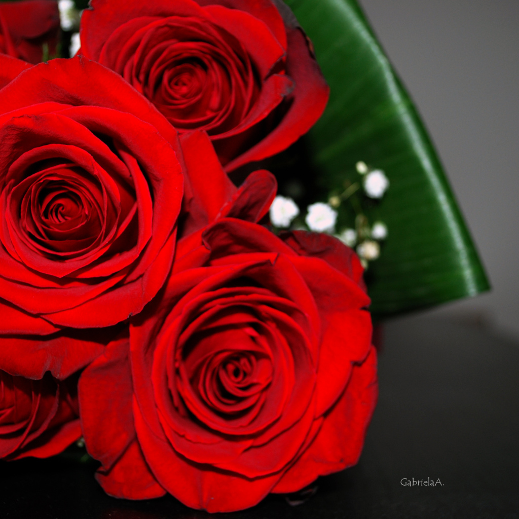 Красные розы на 8 марта с зелеными листьями