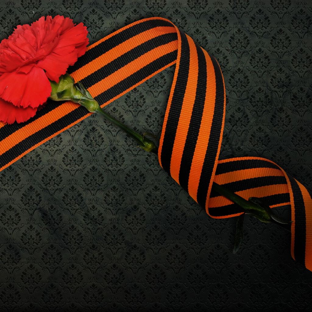 Гвоздика в День Победы 9 мая