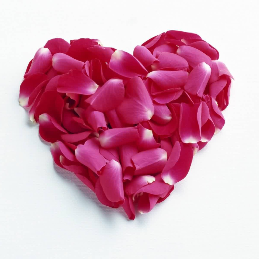 Сердце из красных лепестков на День Влюбленных 14 февраля
