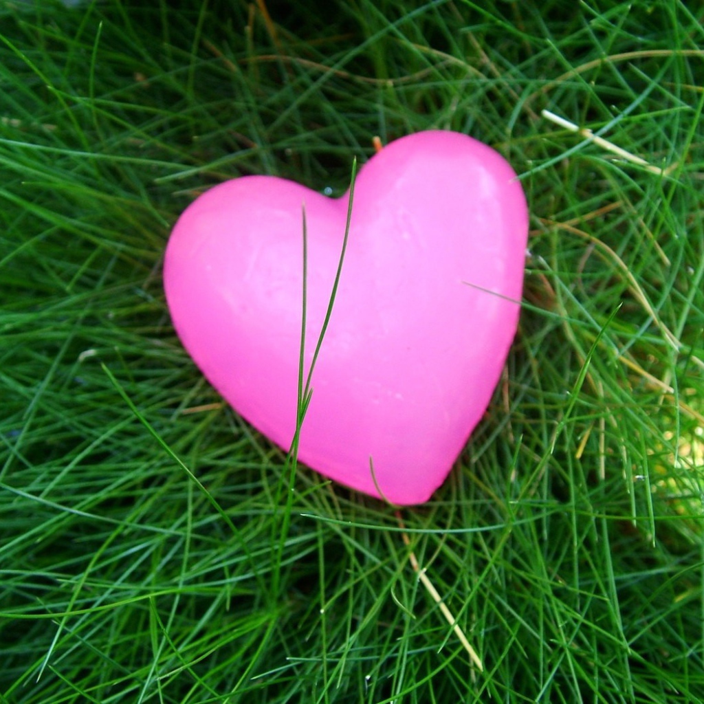 Розовое сердечко на траве