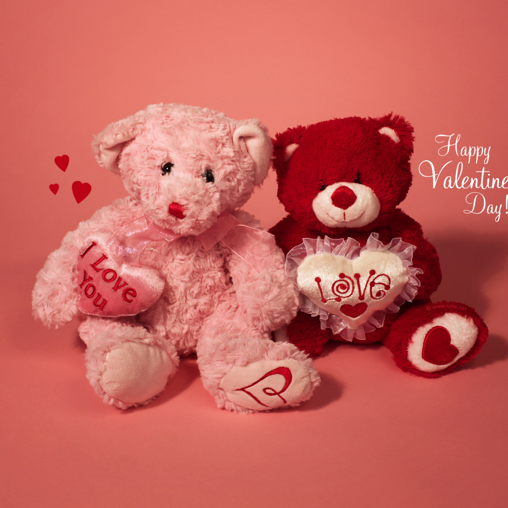 Два медвежонка на День Святого Валентина 14 февраля