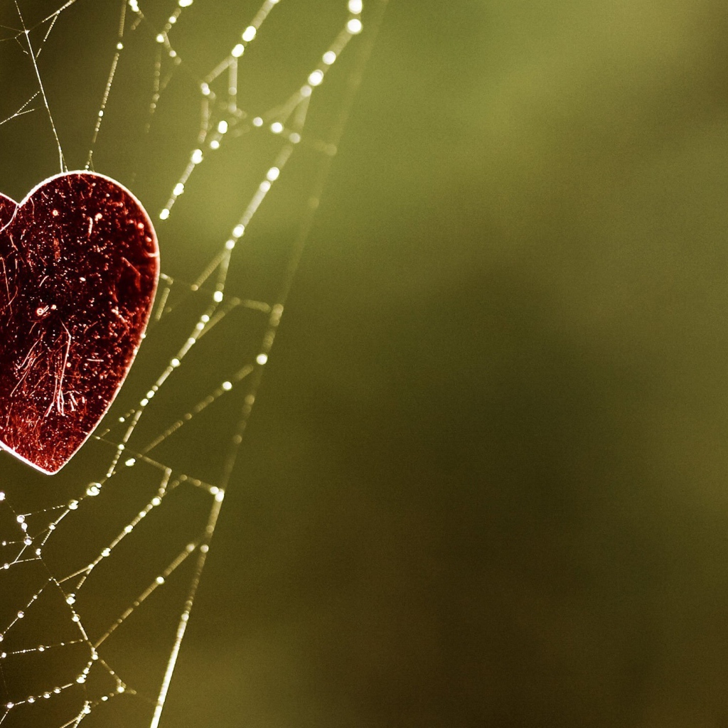 Сердечко на паутине