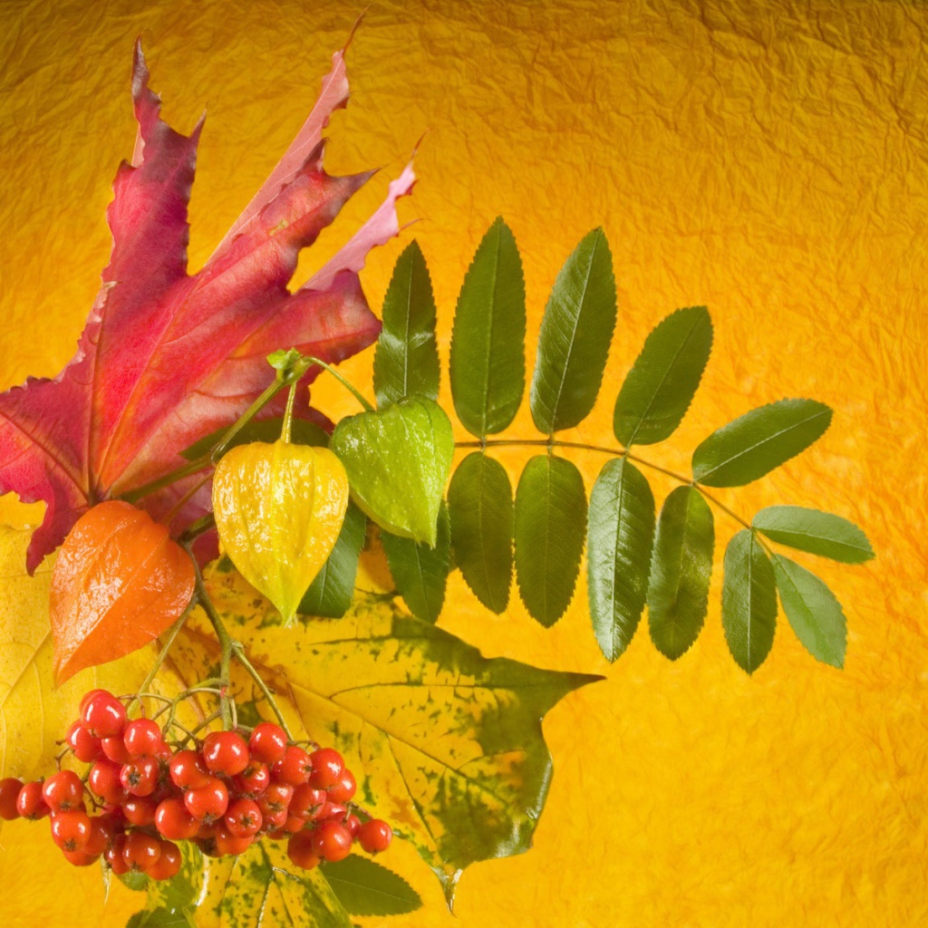 Autumn bouquet Knowledge Day on September 1
