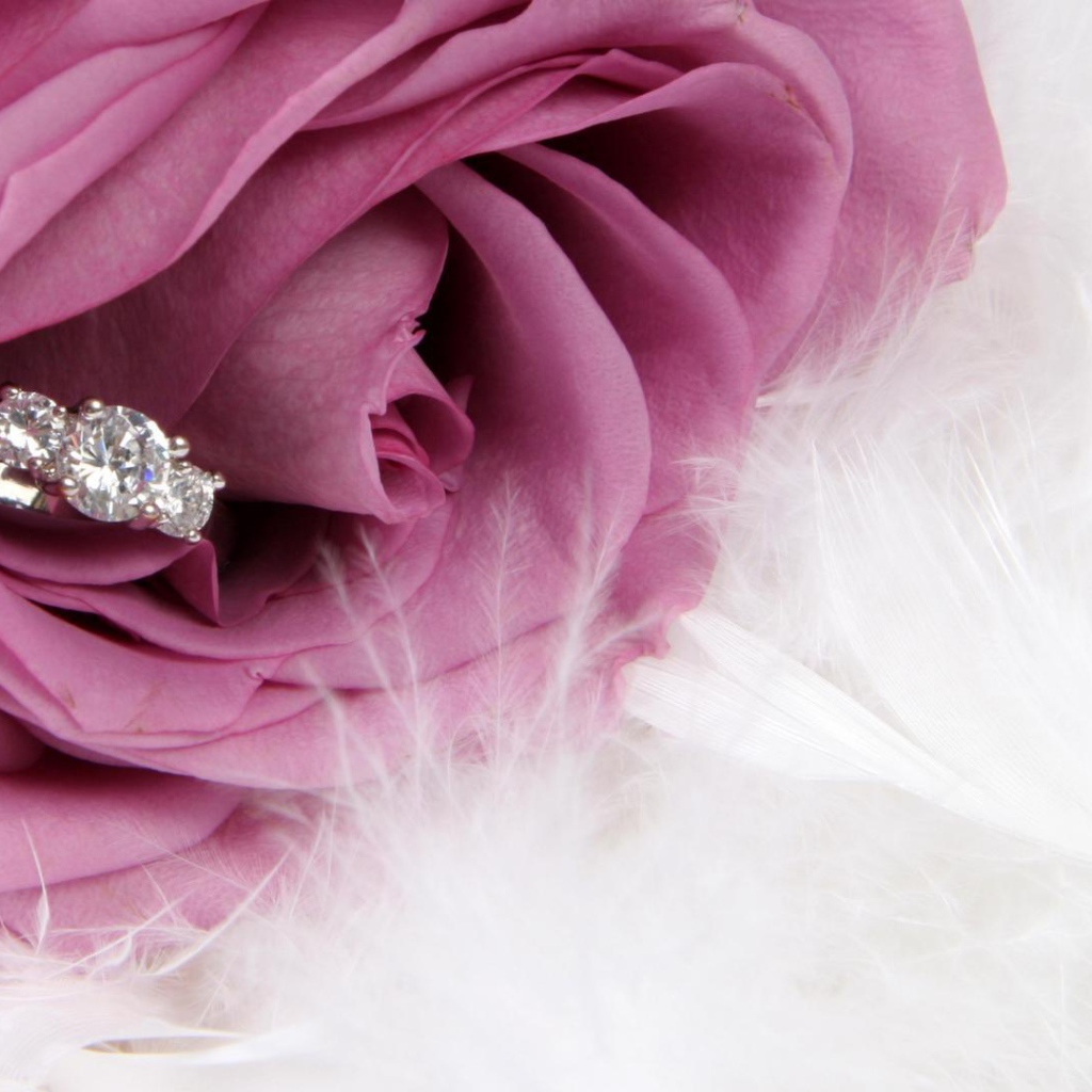 Фиолетовая роза и кольцо, предложение руки и сердца