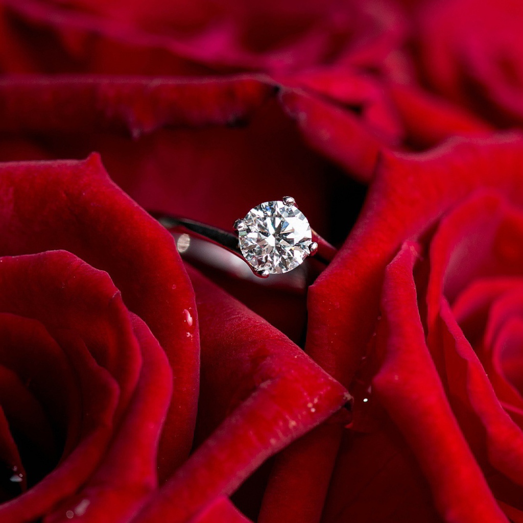 Красные розы и кольцо, предложение руки и сердца