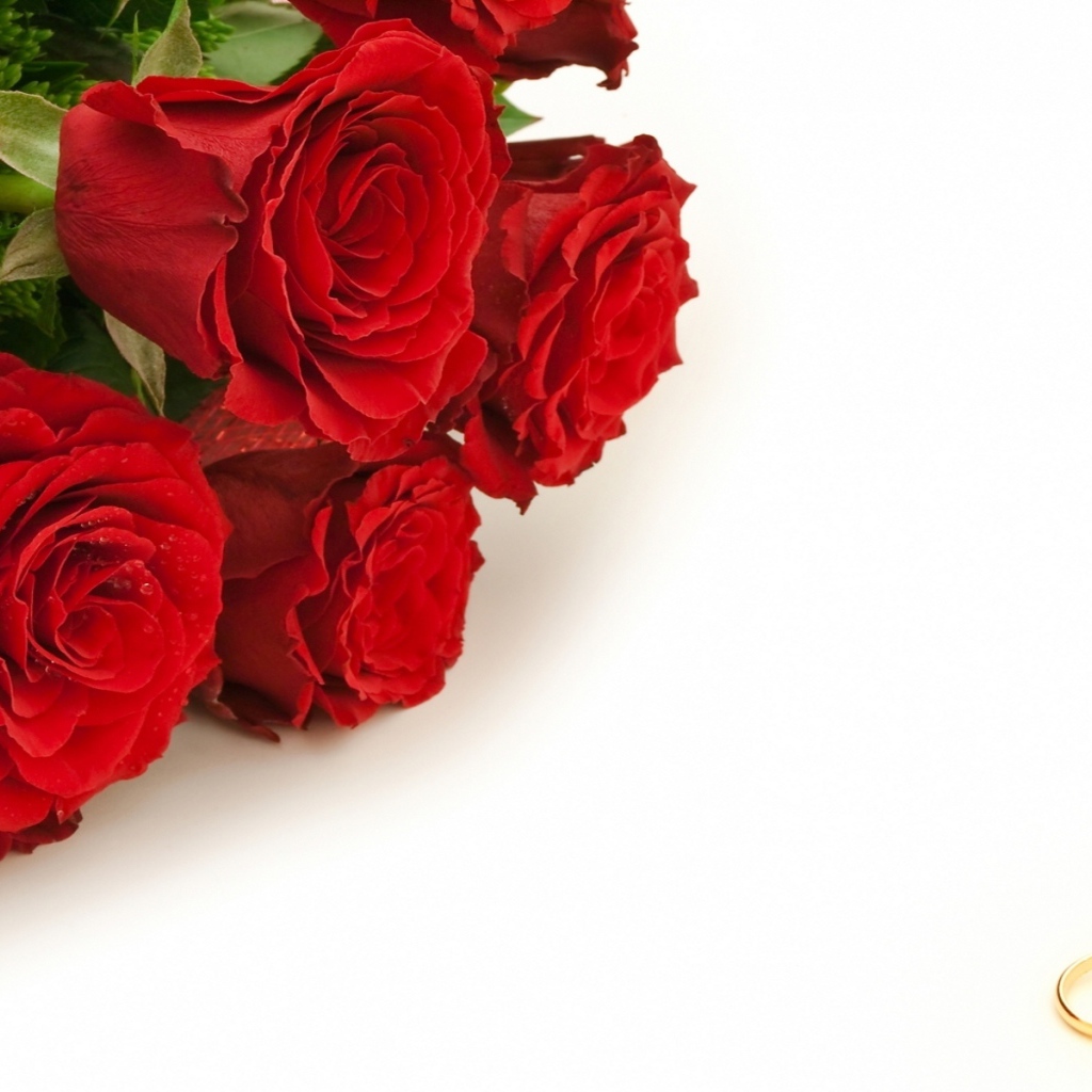 Красные розы и золотые свадебные кольца