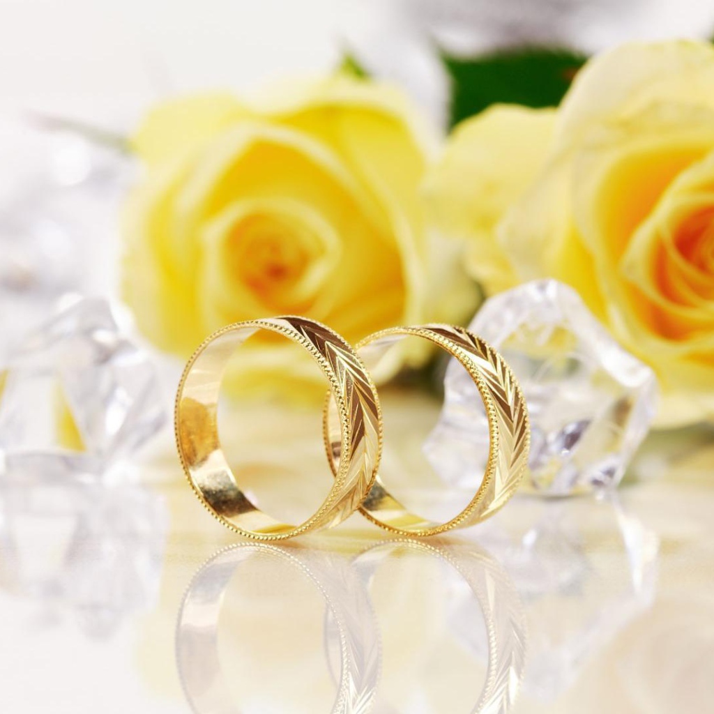 Жёлтые розы и золотые свадебные кольца