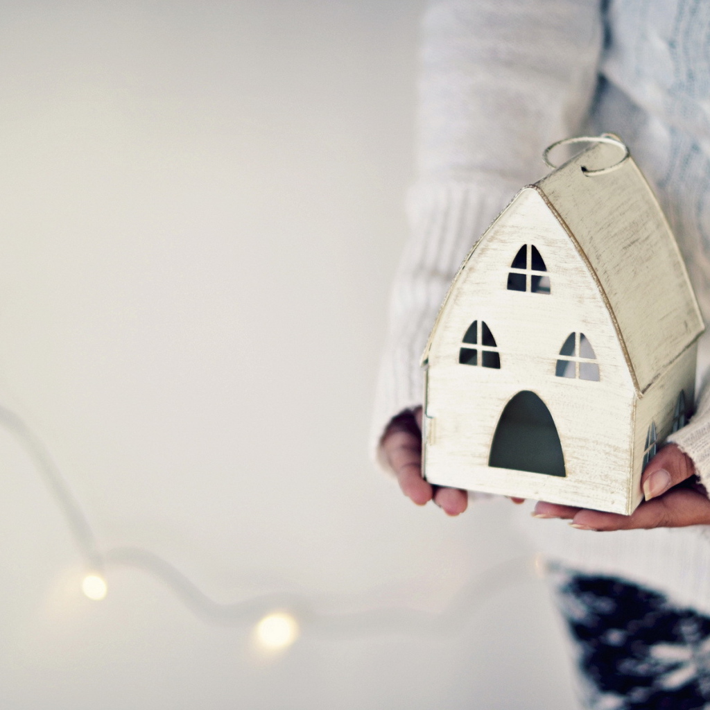 Игрушка дом в руках