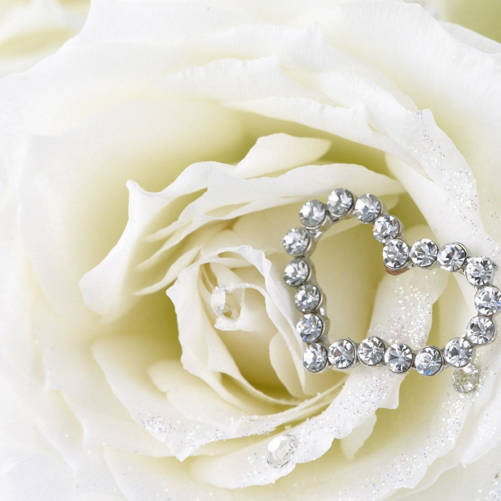 Белые розы и сердце из белых драгоценных камней