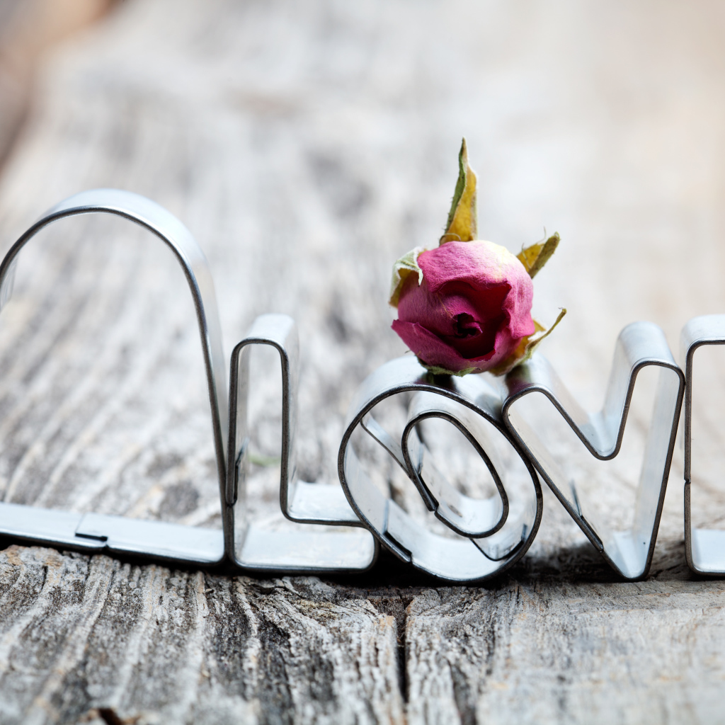 Слово любовь из металла