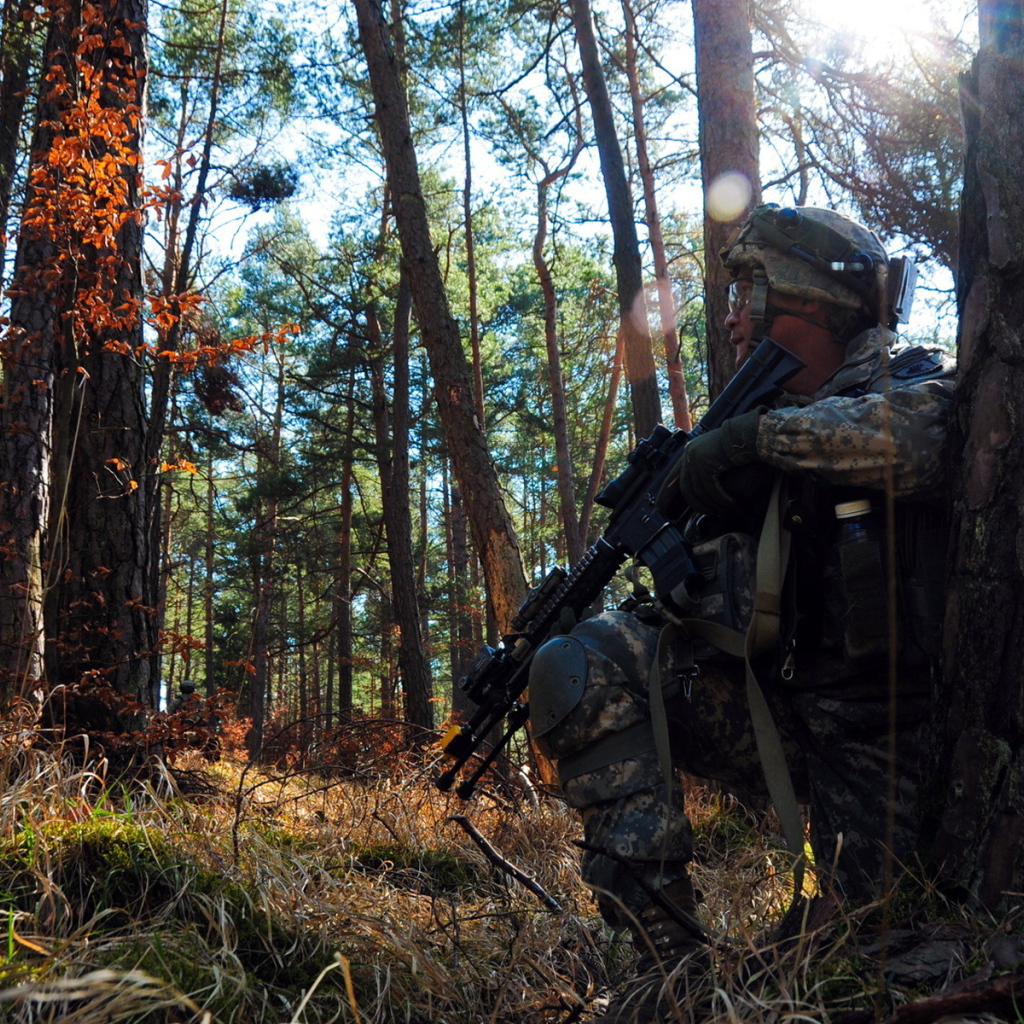 Солдат прячется за деревом