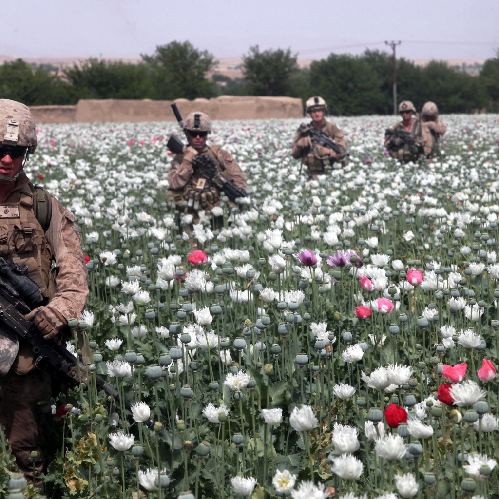 Солдаты на маковом поле