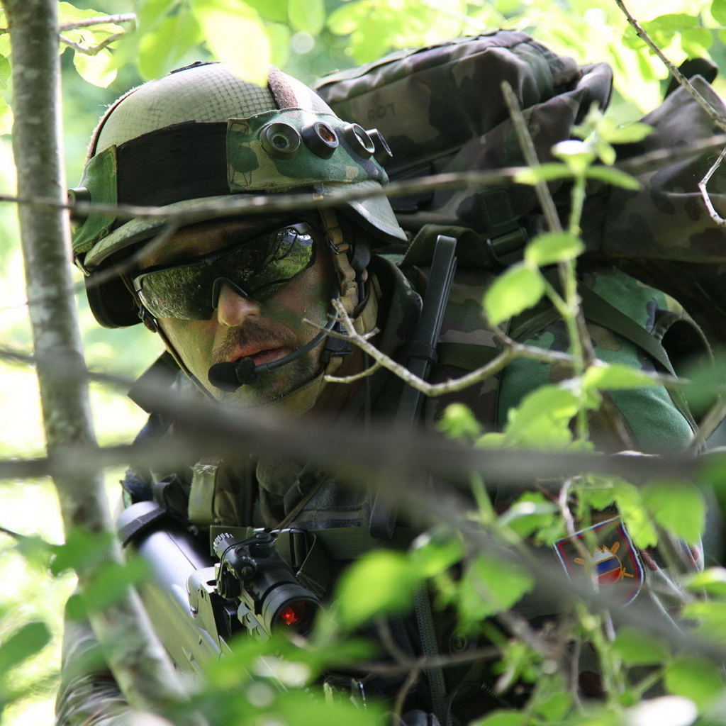 Солдаты в лесу