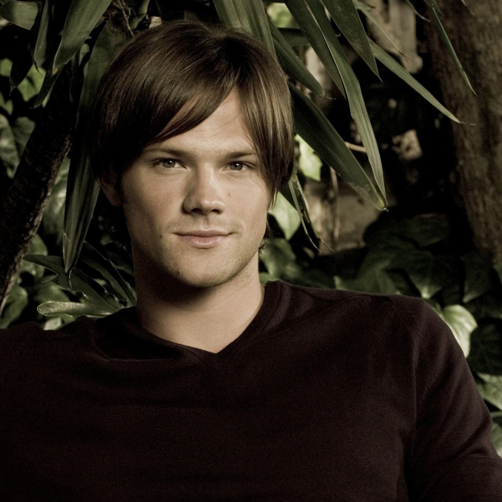 Возлюбленный Актер Джаред Падалеки