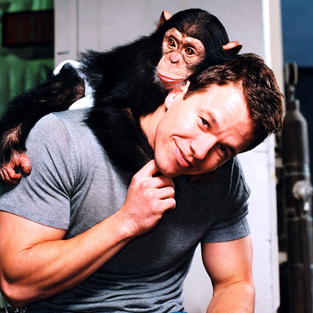 Известный Марк Уолберг