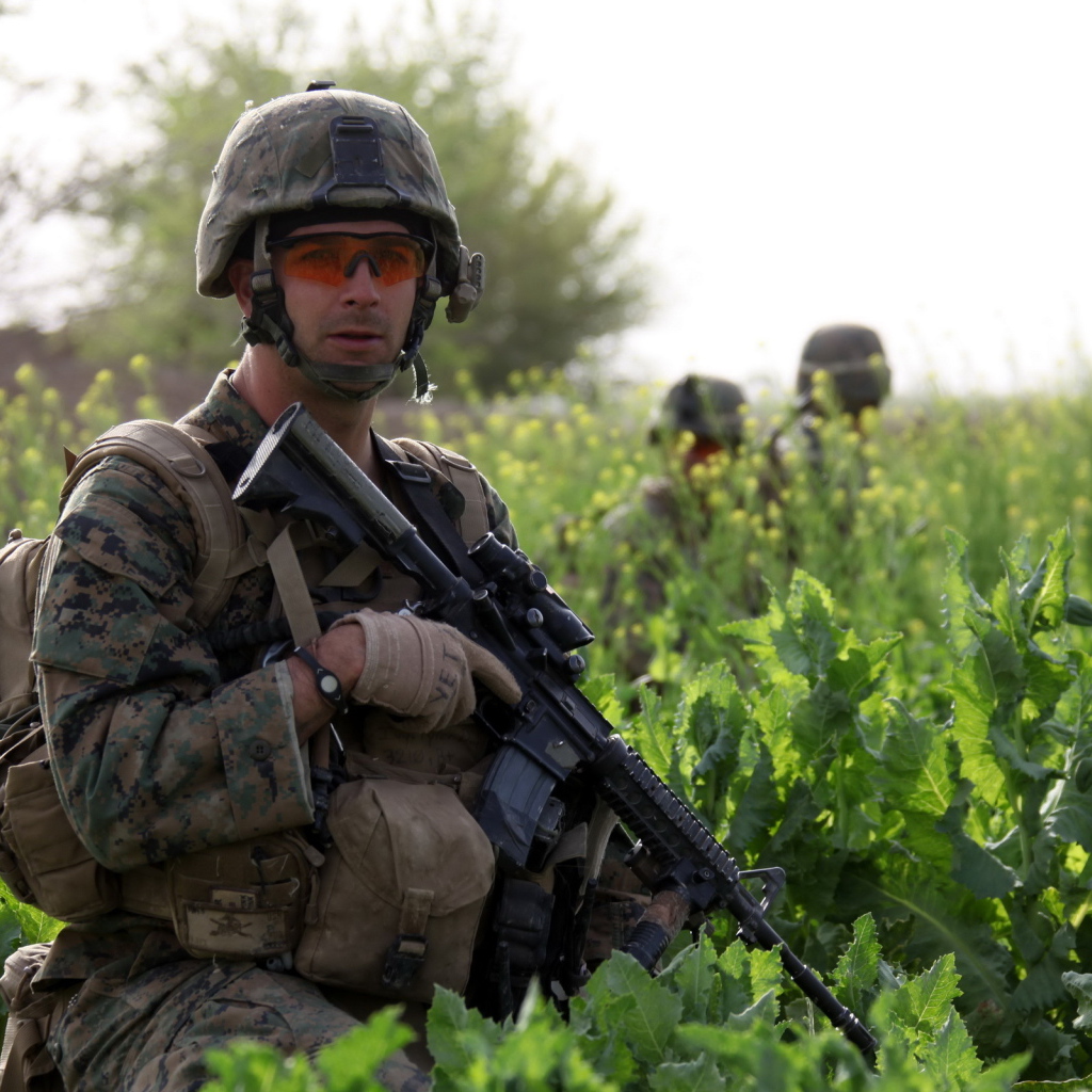 Солдат с винтовкой в траве