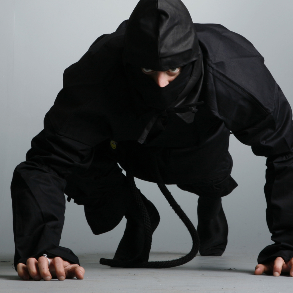 Ниндзя в боевой стойке