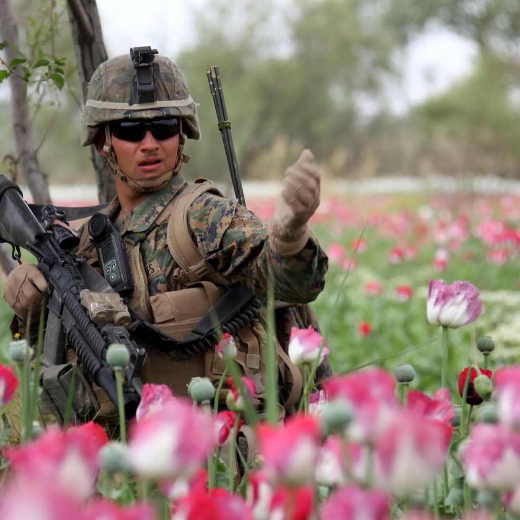 Солдат в розовых тюльпанах