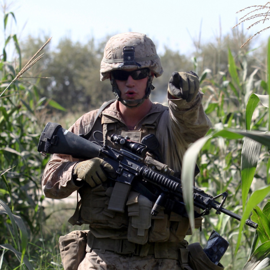 Солдат на кукурузном поле