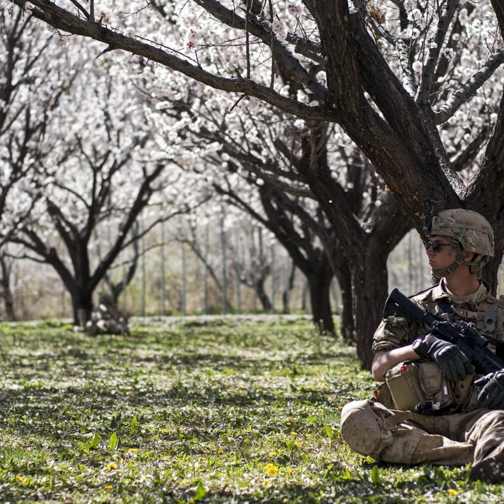 Солдат в цветущем саду