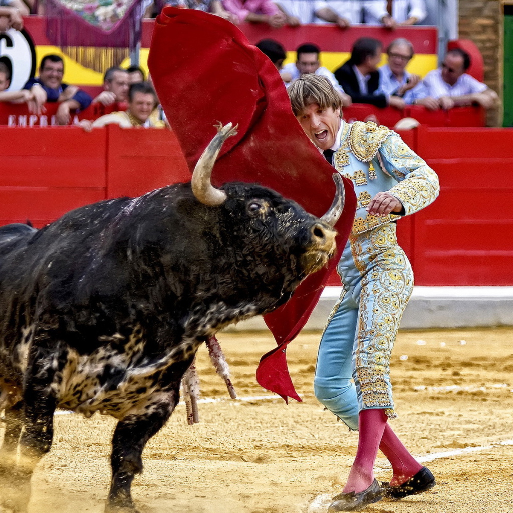 Испанский торреодор