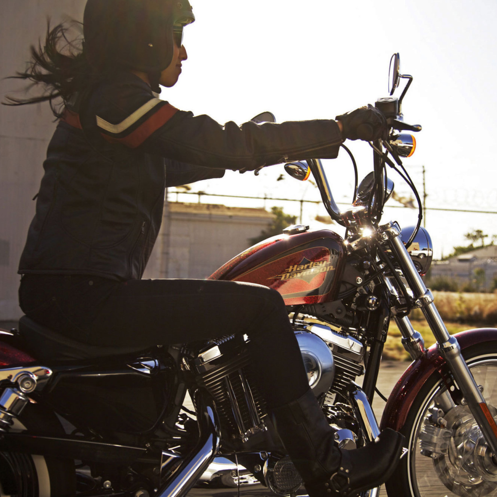 Красивый мотоцикл Harley-Davidson XL 1200V Sportster Seventy-Two