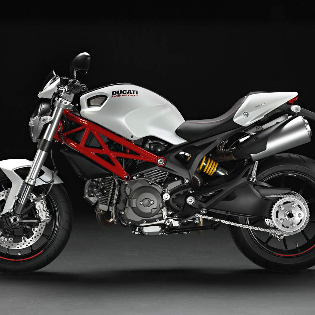 Красивый мотоцикл в москве Ducati Monster 796 Corse Stripe