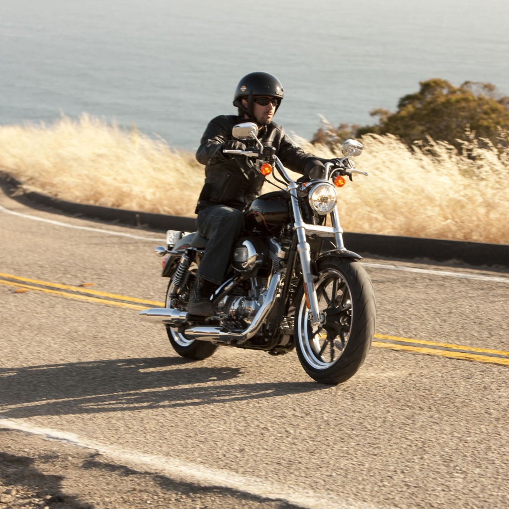 Невероятный мотоцикл Harley-Davidson XL 883L Sportster