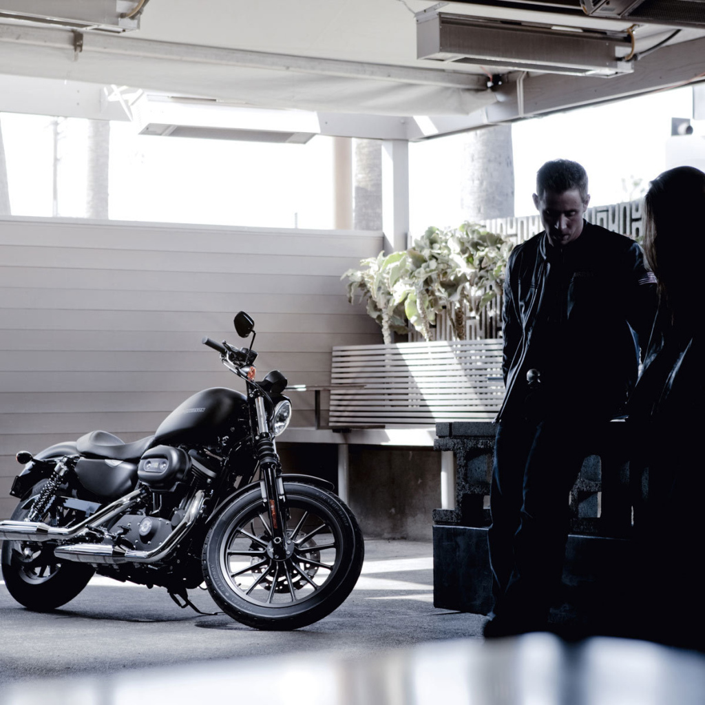 Невероятный мотоцикл Harley-Davidson XL 883N Sportster Iron