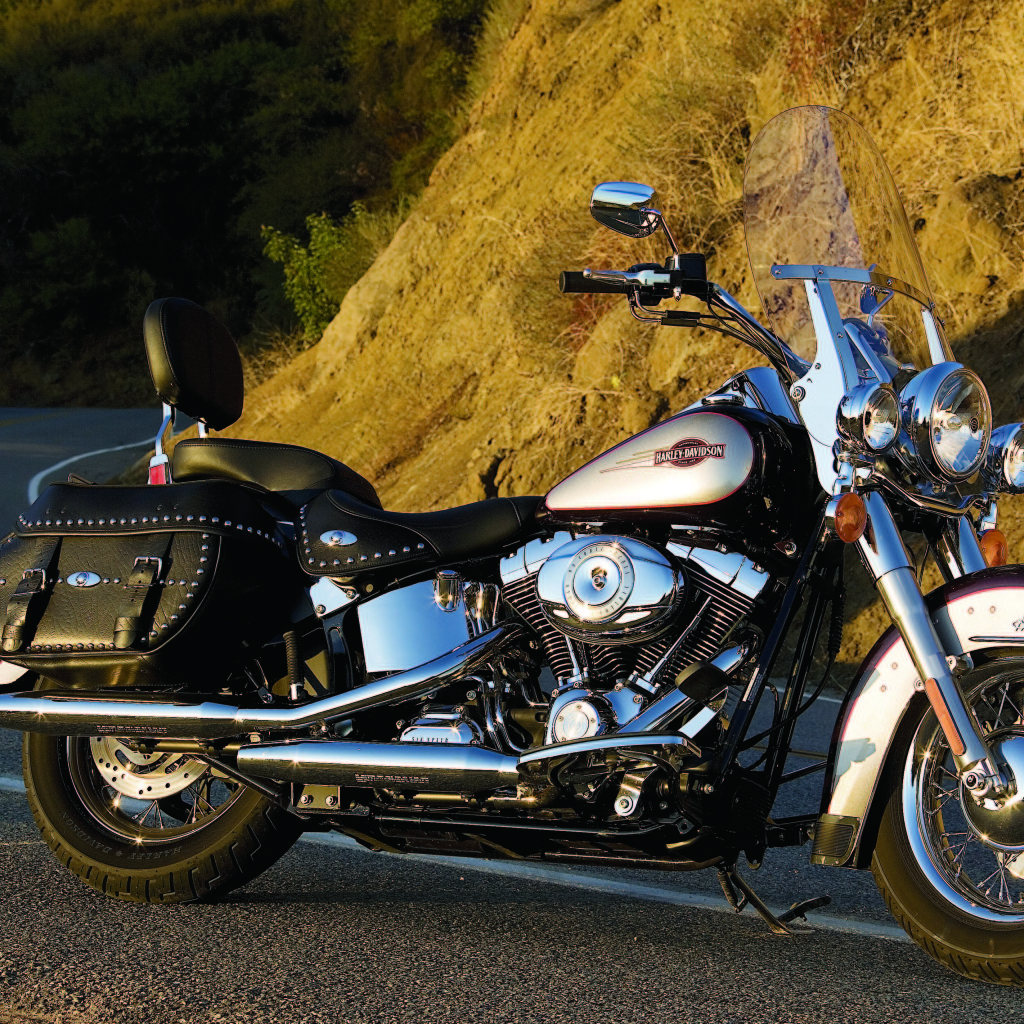 Невероятно быстрый мотоцикл Harley-Davidson Heritage Softail