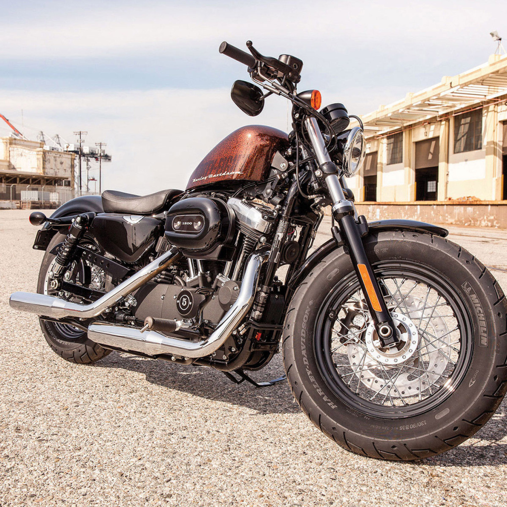 Невероятно быстрый мотоцикл Harley-Davidson XL 1200X Sportster Forty-Eight
