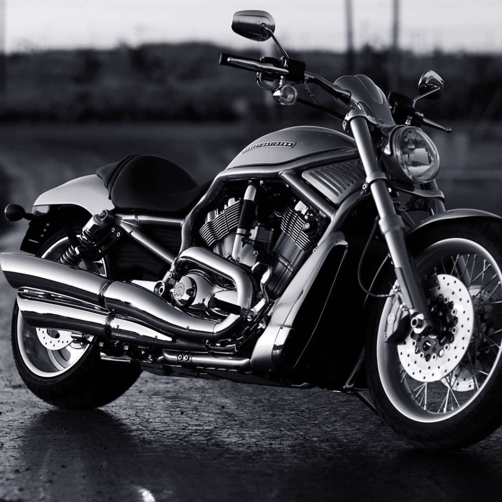 Новый надежный мотоцикл Harley-Davidson V-Rod Muscle