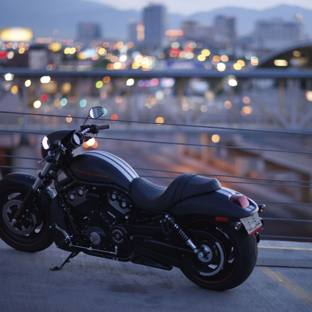 Популярный мотоцикл Harley-Davidson Night Rod Special