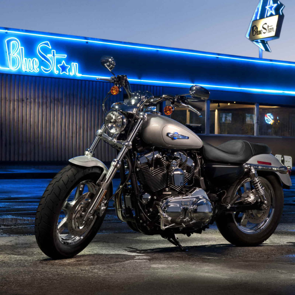 Надежный мотоцикл Harley-Davidson XL 1200C Sportster Custom