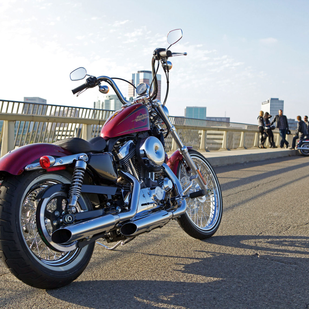 Надежный мотоцикл Harley-Davidson XL 1200V Sportster Seventy-Two