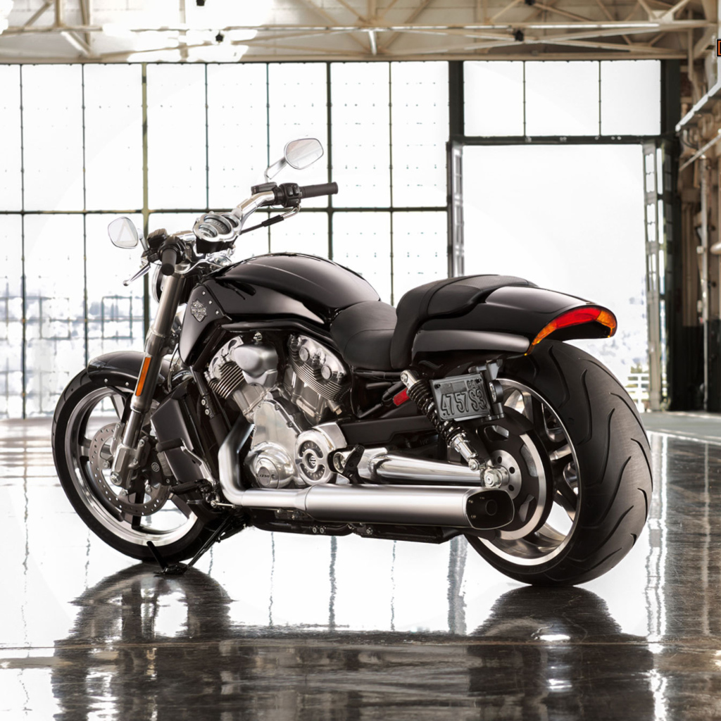 Тест-драйв мотоцикла Harley-Davidson V-Rod Muscle