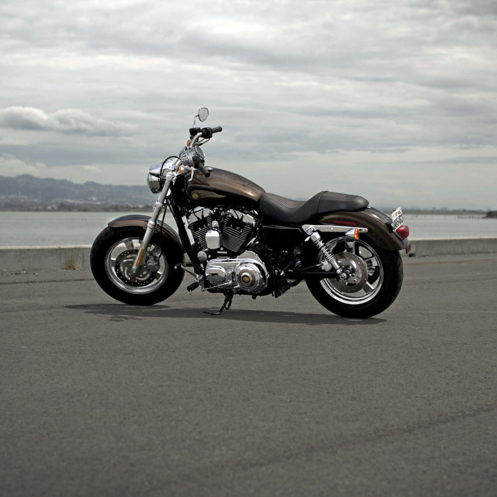 Тест-драйв мотоцикла Harley-Davidson XL 1200C Sportster Custom