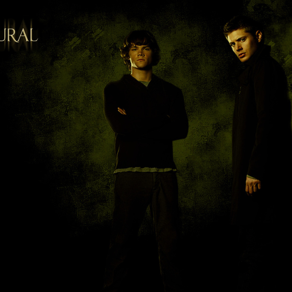 Братья борцы со злом из сериала Сверхъестественное