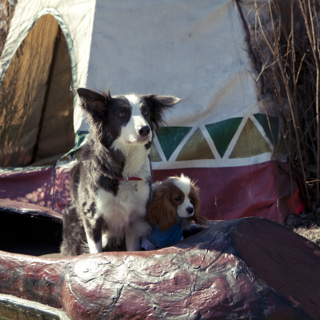 Герои фильма Ёлки лохматые 2014