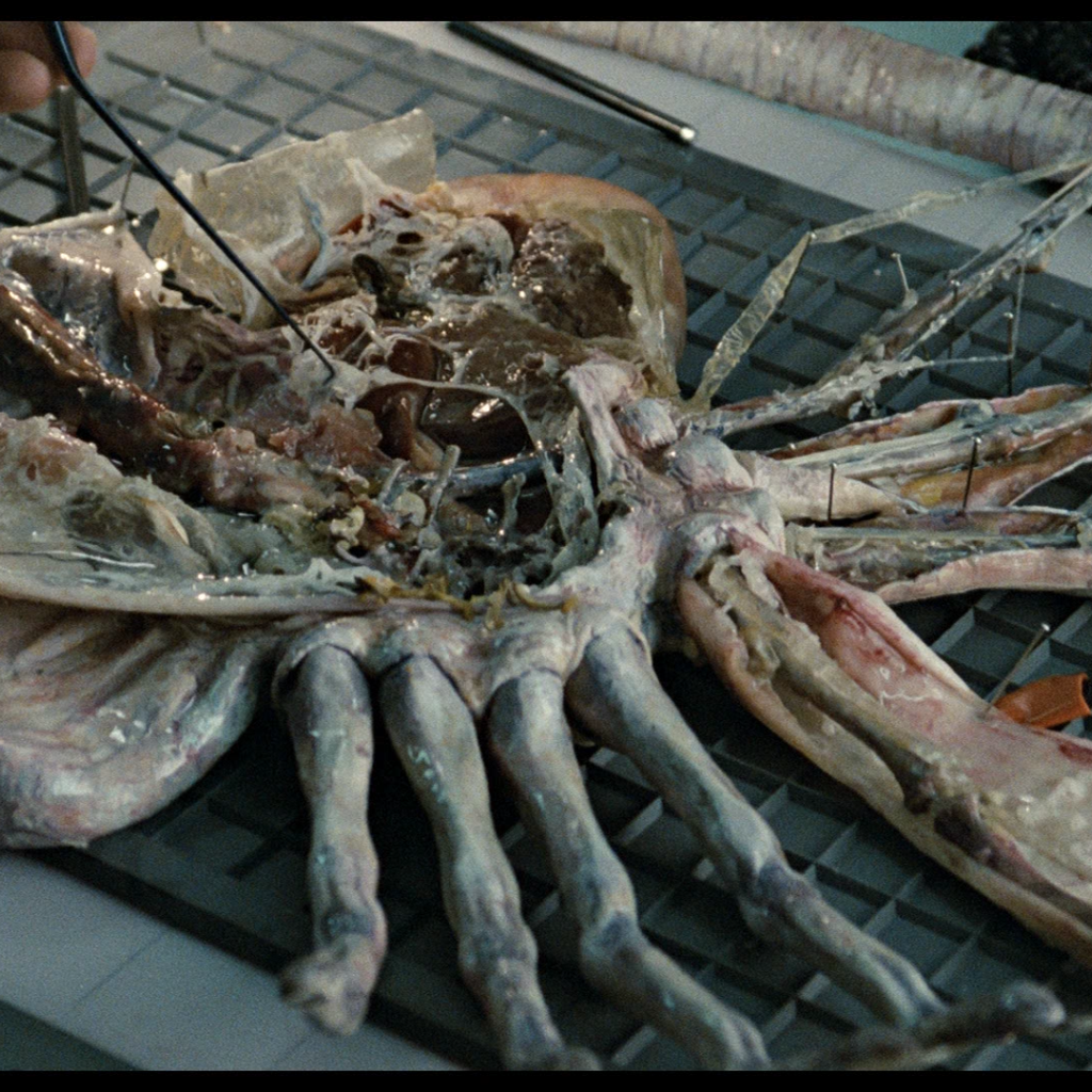 Кино 80-й пришелец