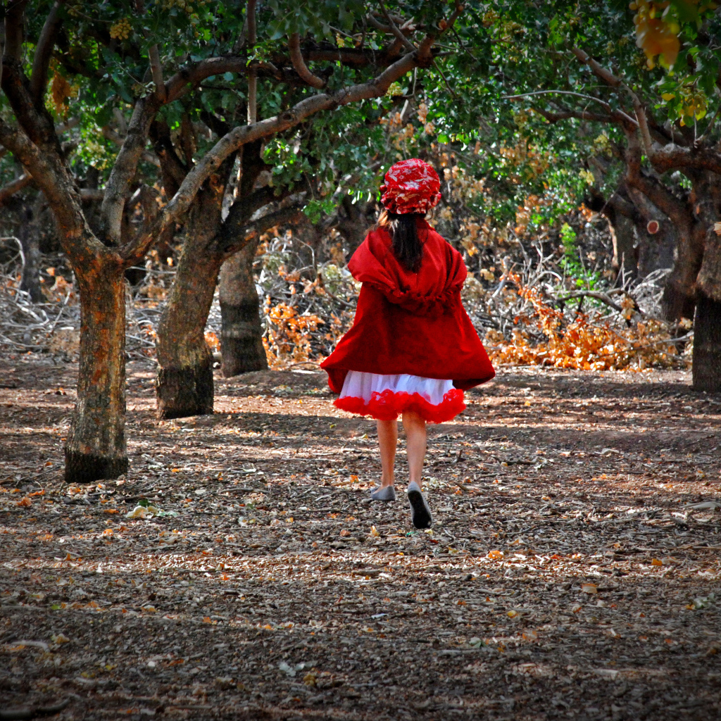 Фильм - В лес