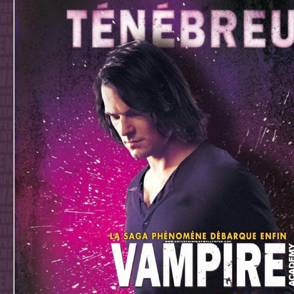 Интересный фильм Академия вампиров