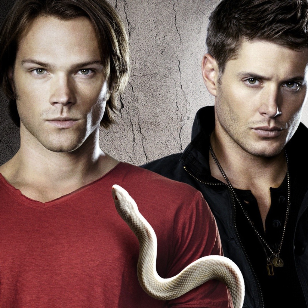 Sam and Dean from the TV series Supernatural