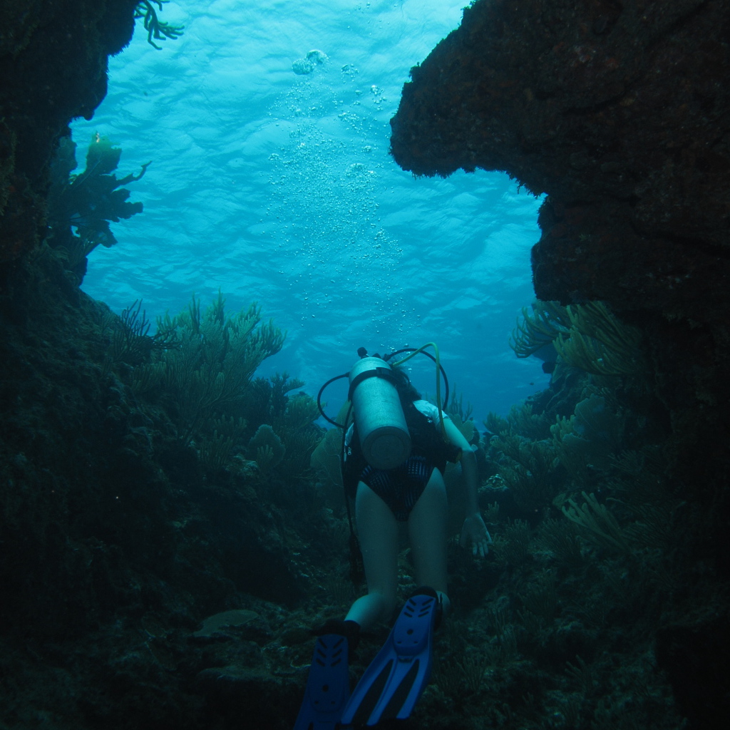 Тайна двух океанов