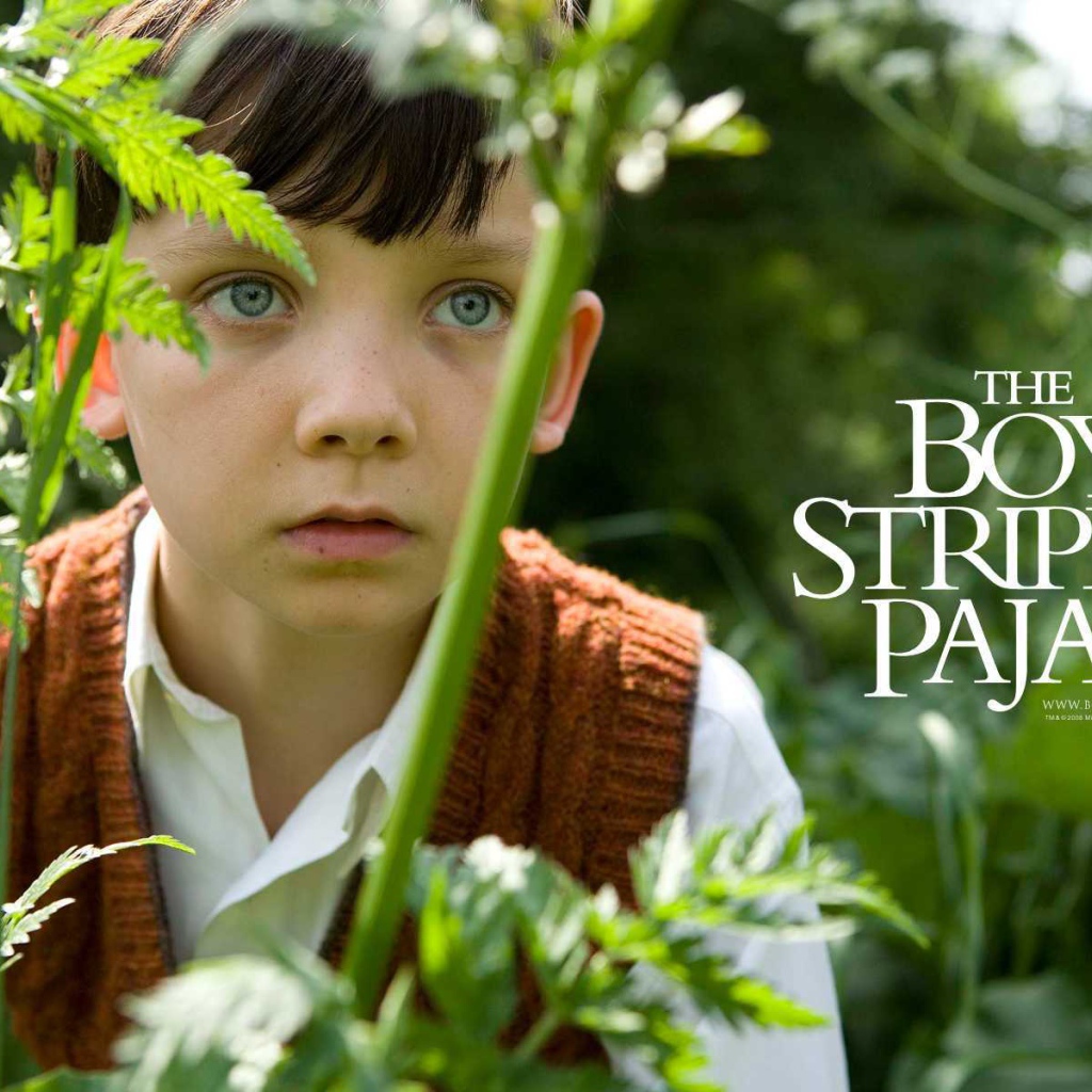 Мальчик в полосатой пижаме