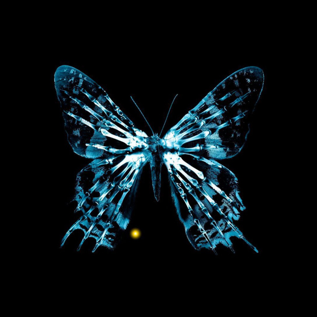 Эффект бабочки