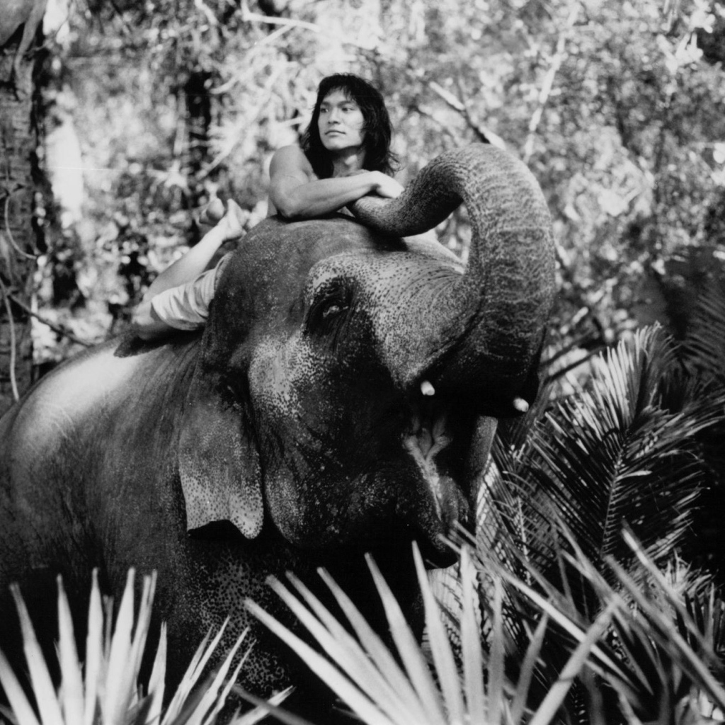 Книга джунгле